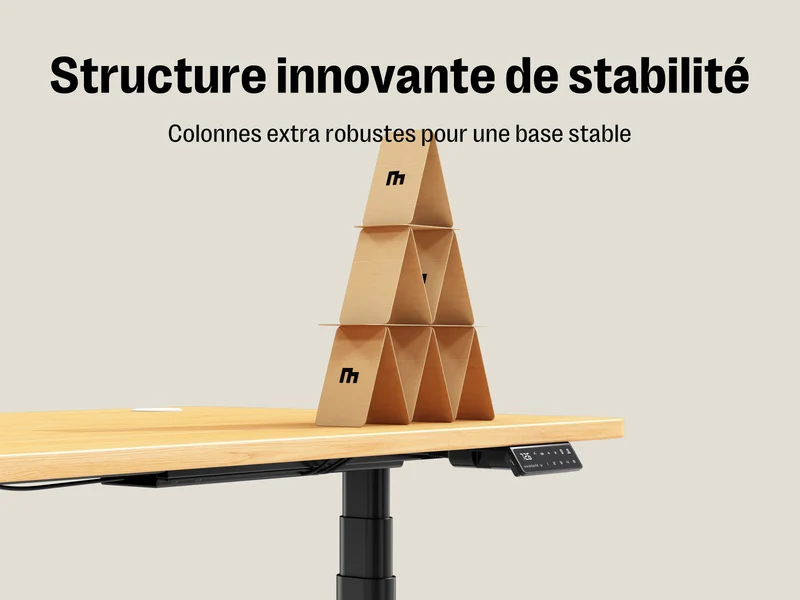Maidesite EL2 Plus Art - Bureau assis debout électrique