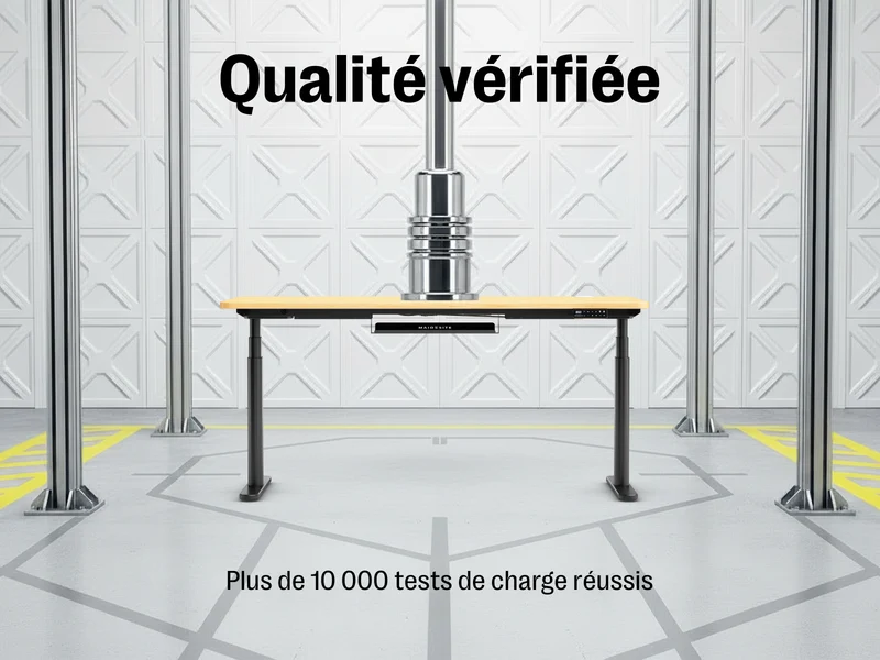 Maidesite EL2 Plus Art - Bureau assis debout électrique