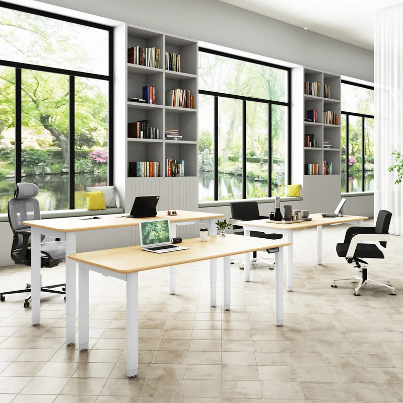 Maidesite T4 Pro Plus - Bureau assis debout électrique