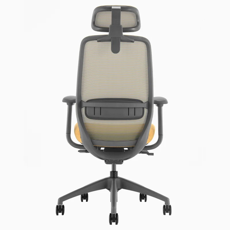 Desky CoilFlex Ergonomic Office Chair