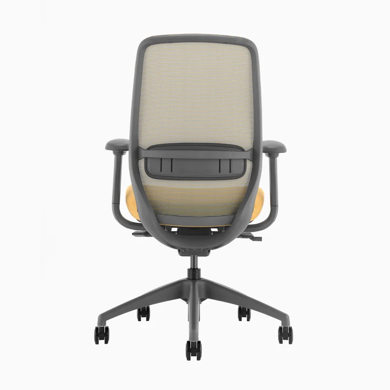 Desky CoilFlex Ergonomic Office Chair