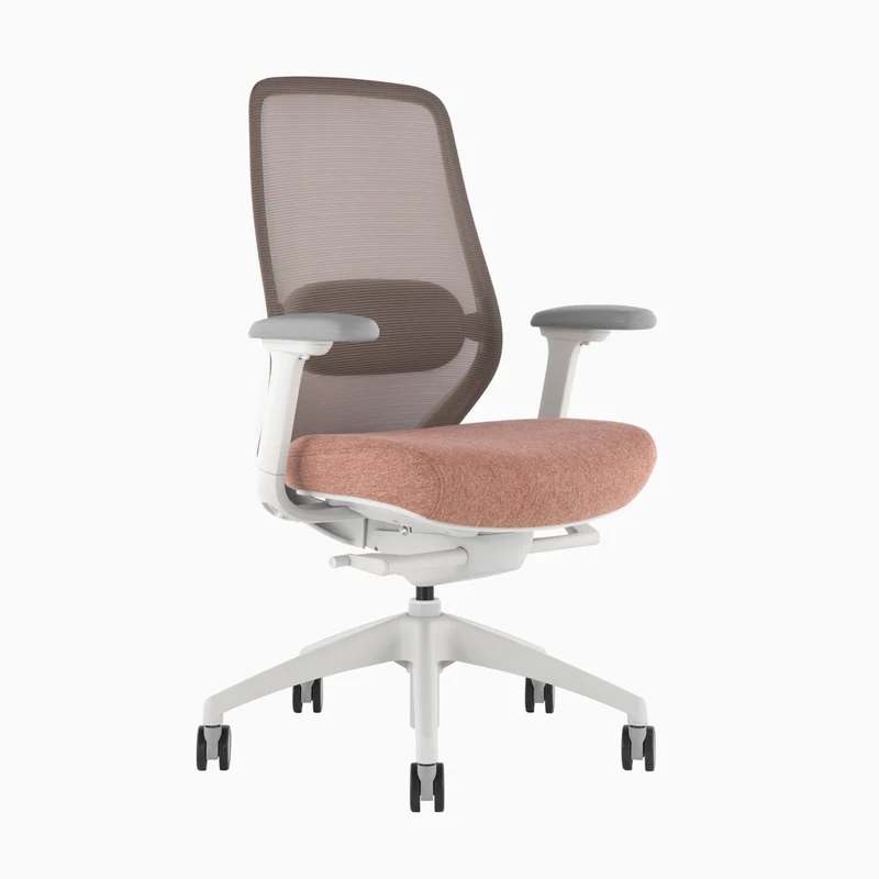 Desky CoilFlex Ergonomic Office Chair