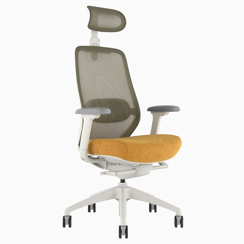 Desky CoilFlex Ergonomic Office Chair