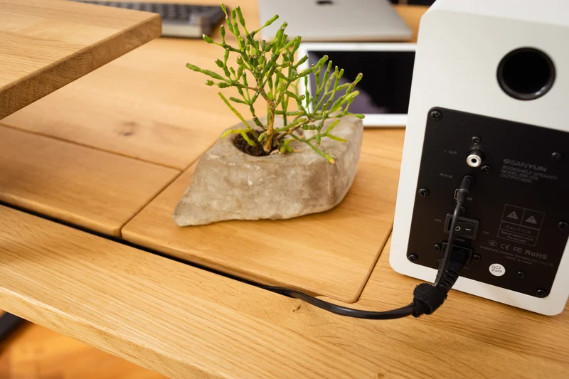 Oak standing desk with extended cable management unit