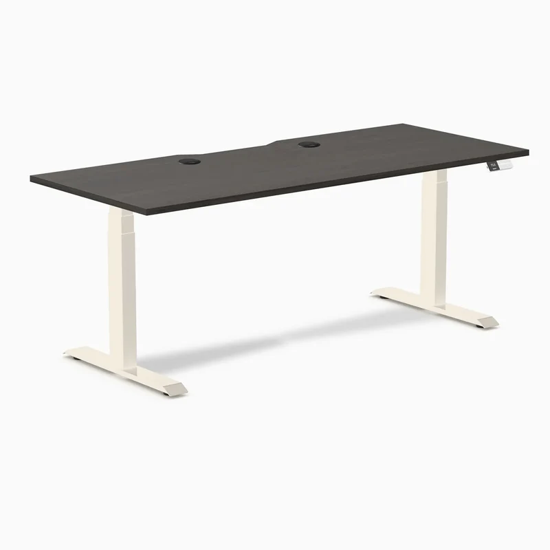 Desky Dual Scalloped Laminate Sit Stand Desk