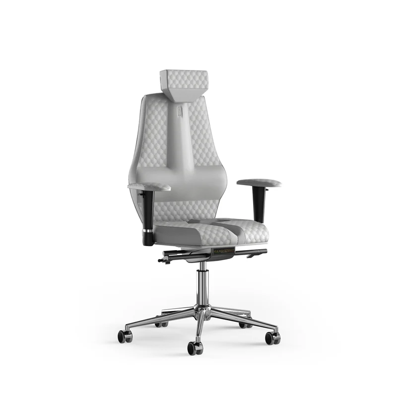 Ergonomic office chair Nano