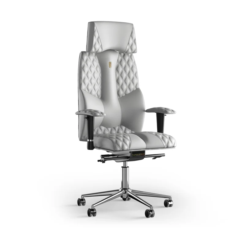 Ergonomic office chair Business
