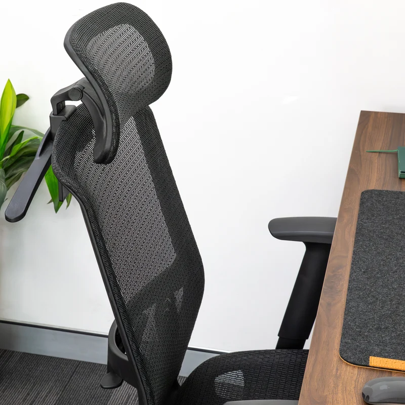 Desky Adjustable High Back Mesh Chair