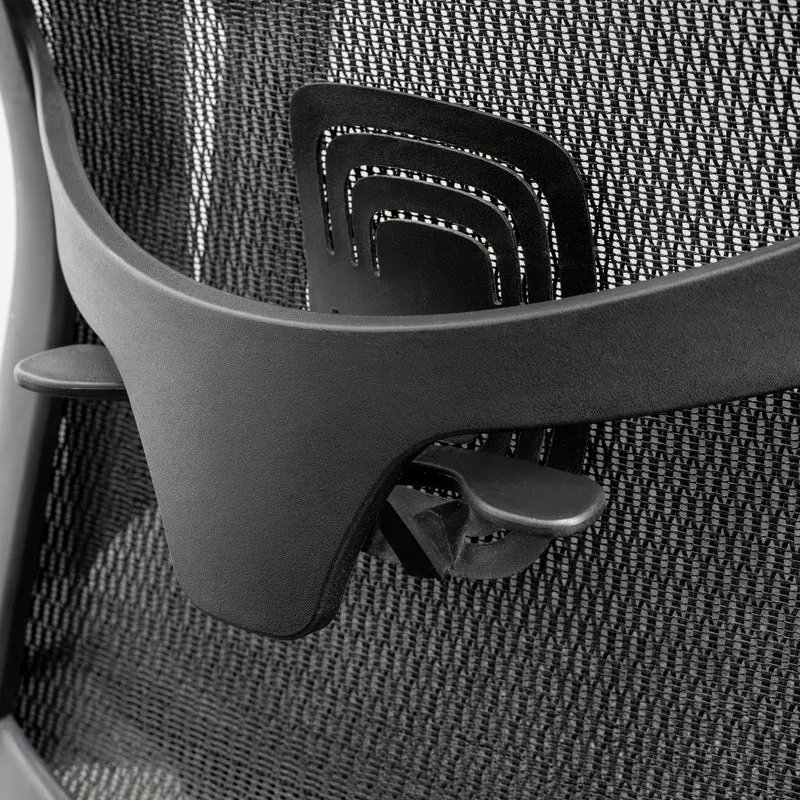 Desky Adjustable High Back Mesh Chair