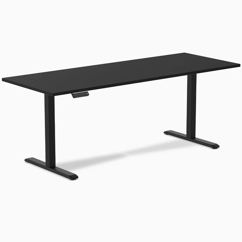 Desky Single Sit Stand Desk