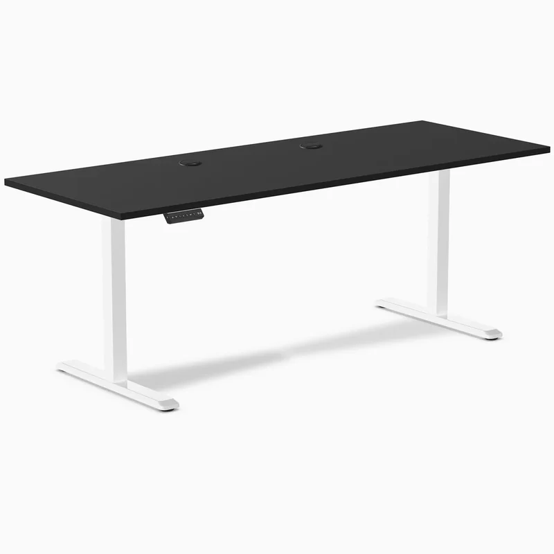 Desky Single Sit Stand Desk