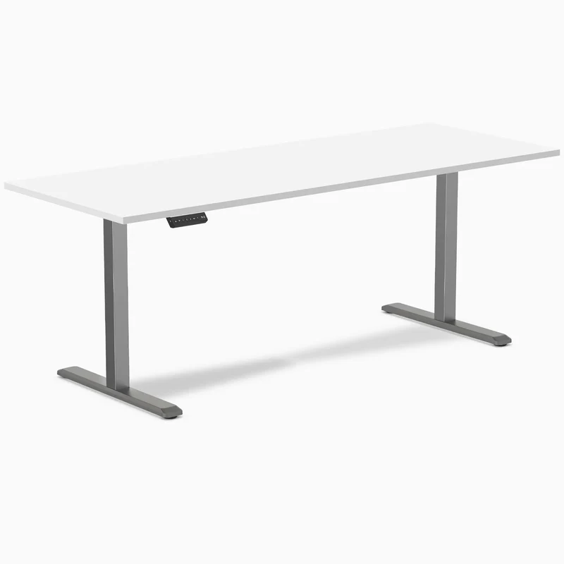 Desky Single Sit Stand Desk