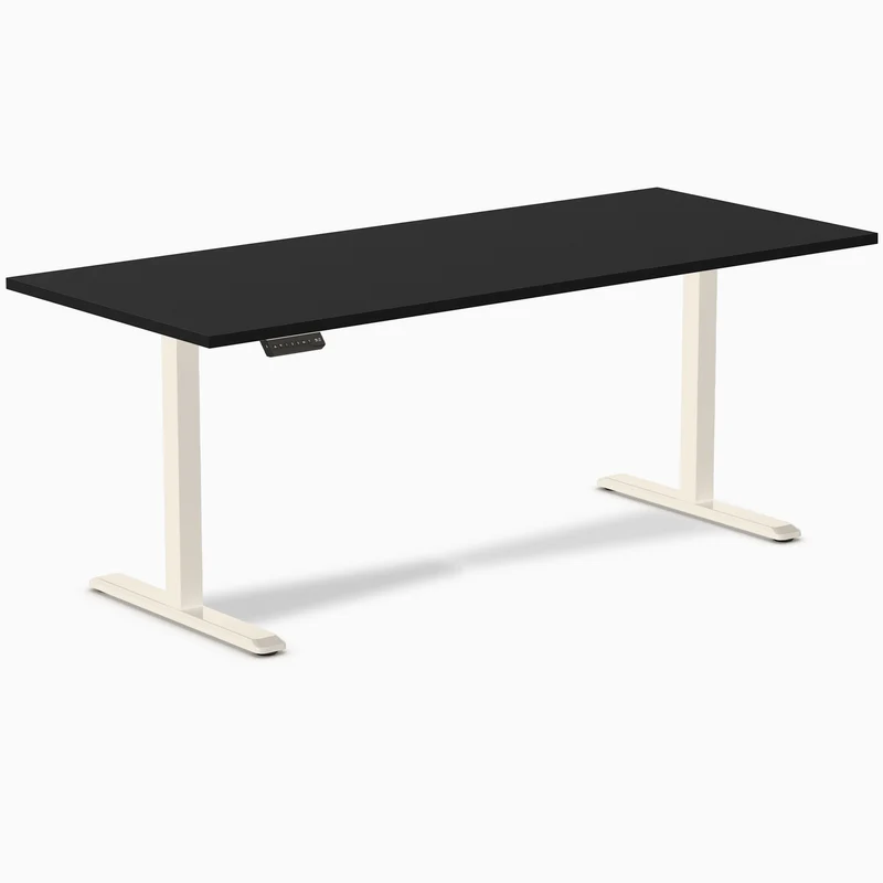 Desky Single Sit Stand Desk