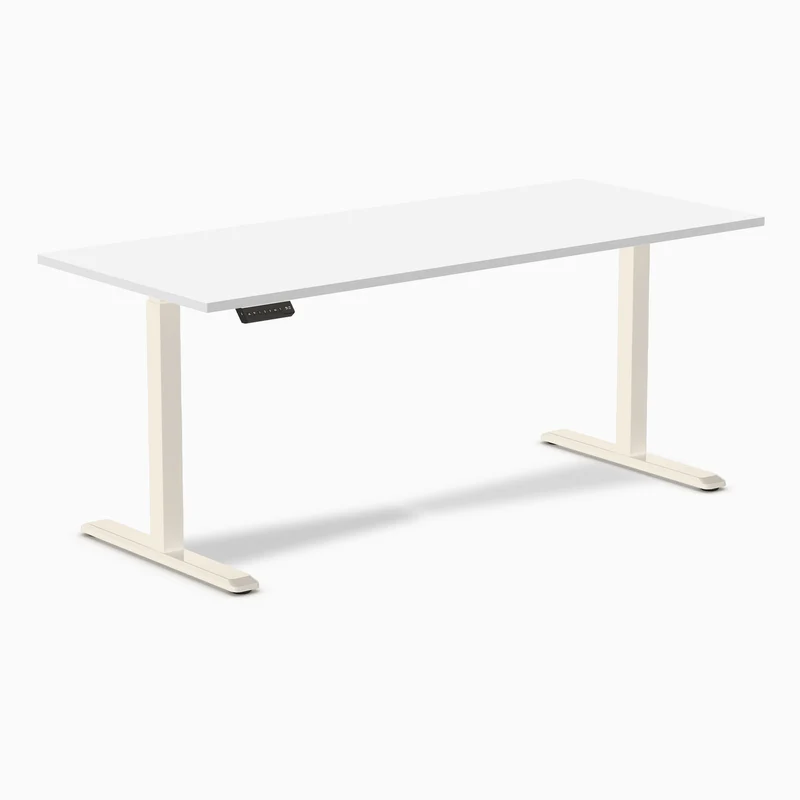 Desky Single Sit Stand Desk