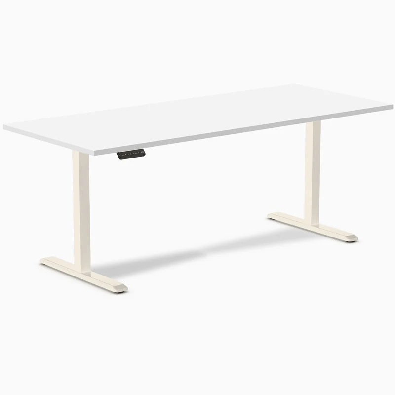 Desky Single Sit Stand Desk