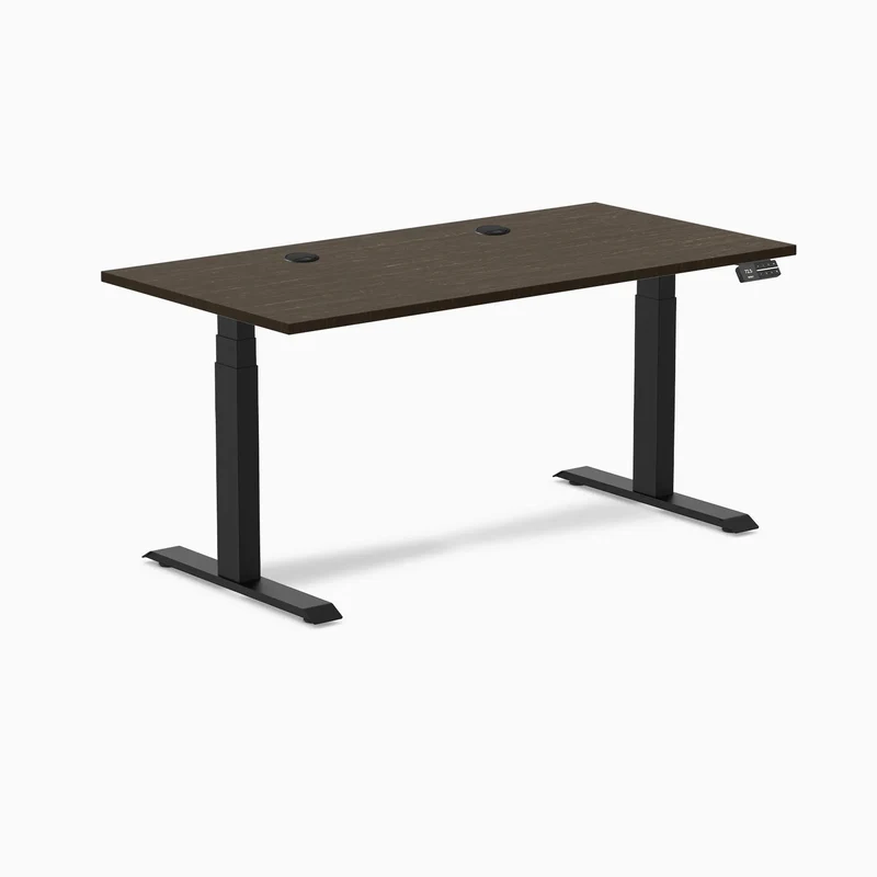Desky Dual Bamboo Sit Stand Desk
