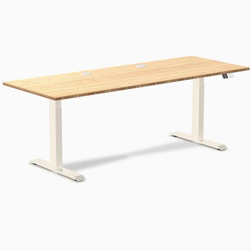 Desky Dual Bamboo Sit Stand Desk