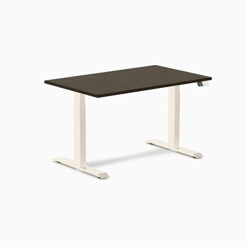 Desky Dual Bamboo Sit Stand Desk