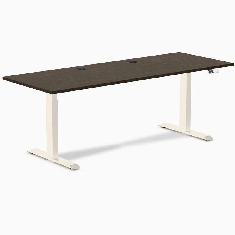 Desky Dual Bamboo Sit Stand Desk