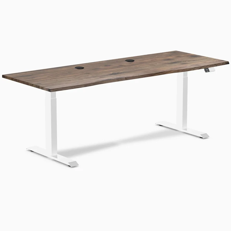 Desky Dual Laminate Sit Stand Desk