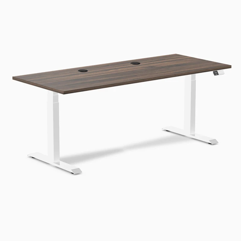 Desky Dual Laminate Sit Stand Desk