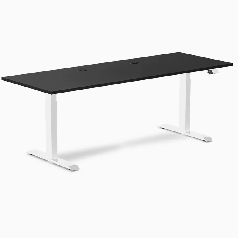 Desky Dual Laminate Sit Stand Desk