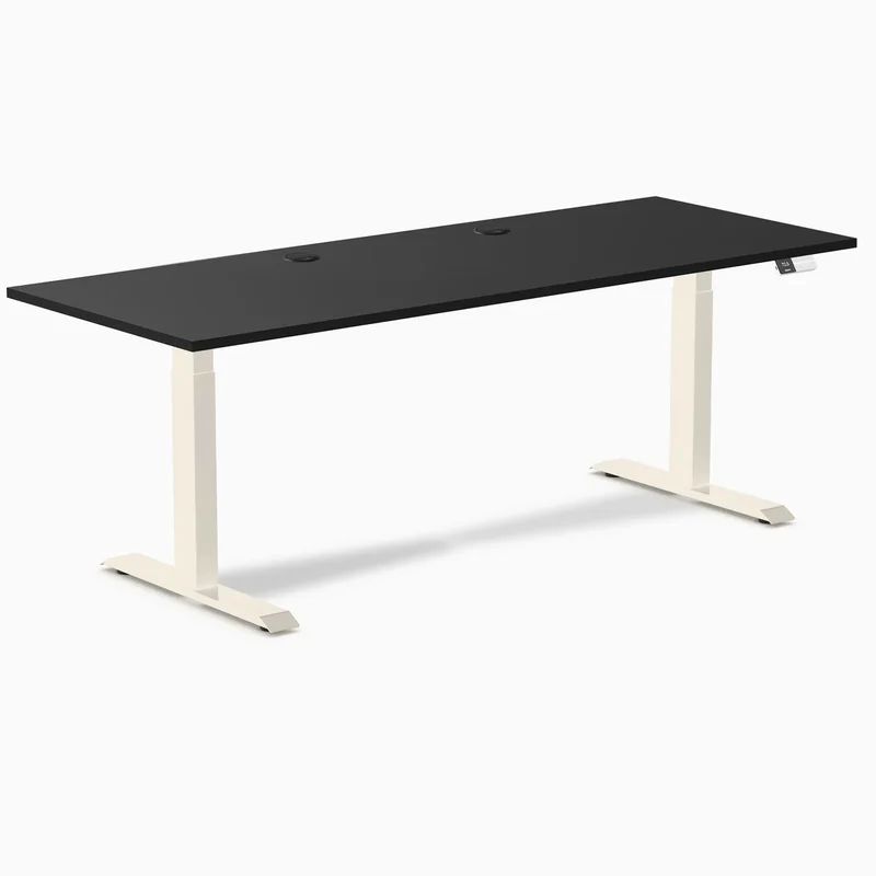 Desky Dual Laminate Sit Stand Desk