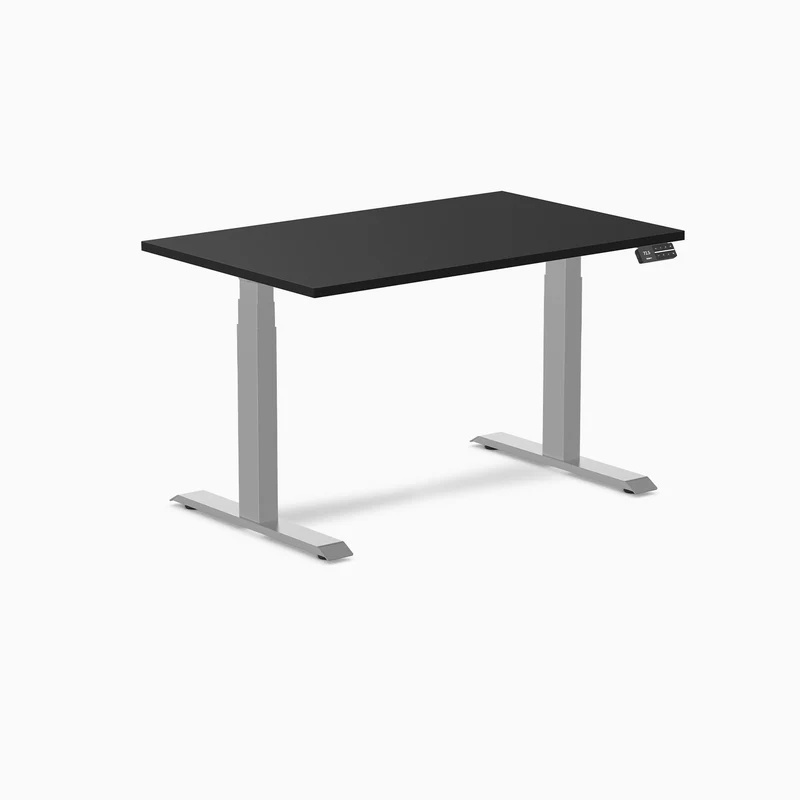 Desky Alpha Dual Sit Stand Gaming Desk