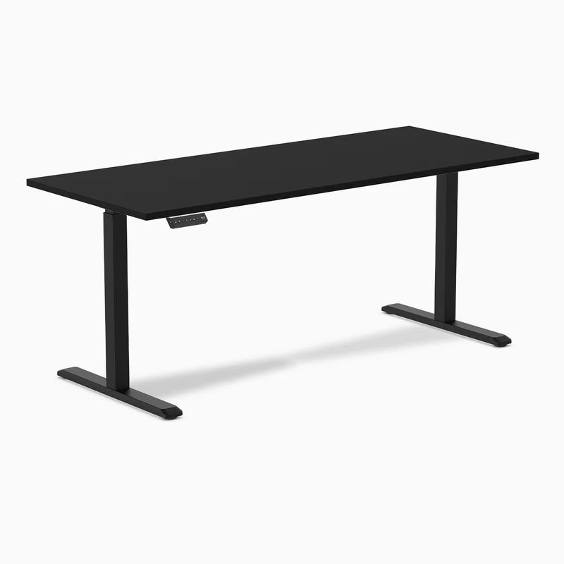 Desky Single Sit Stand Gaming Desk