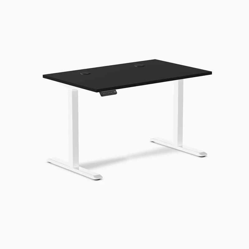 Desky Single Sit Stand Gaming Desk