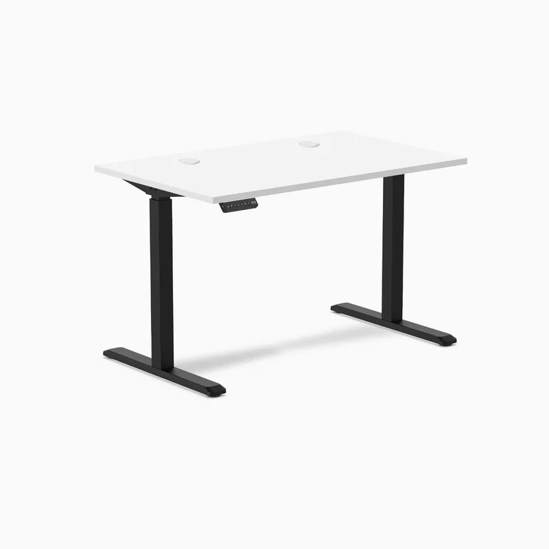Desky Single Sit Stand Gaming Desk