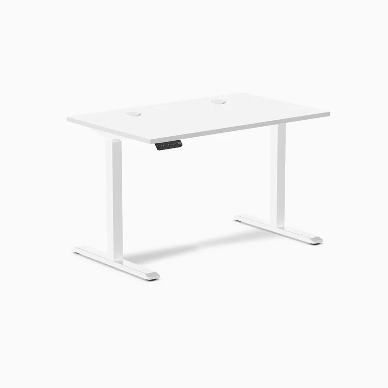Desky Single Sit Stand Gaming Desk