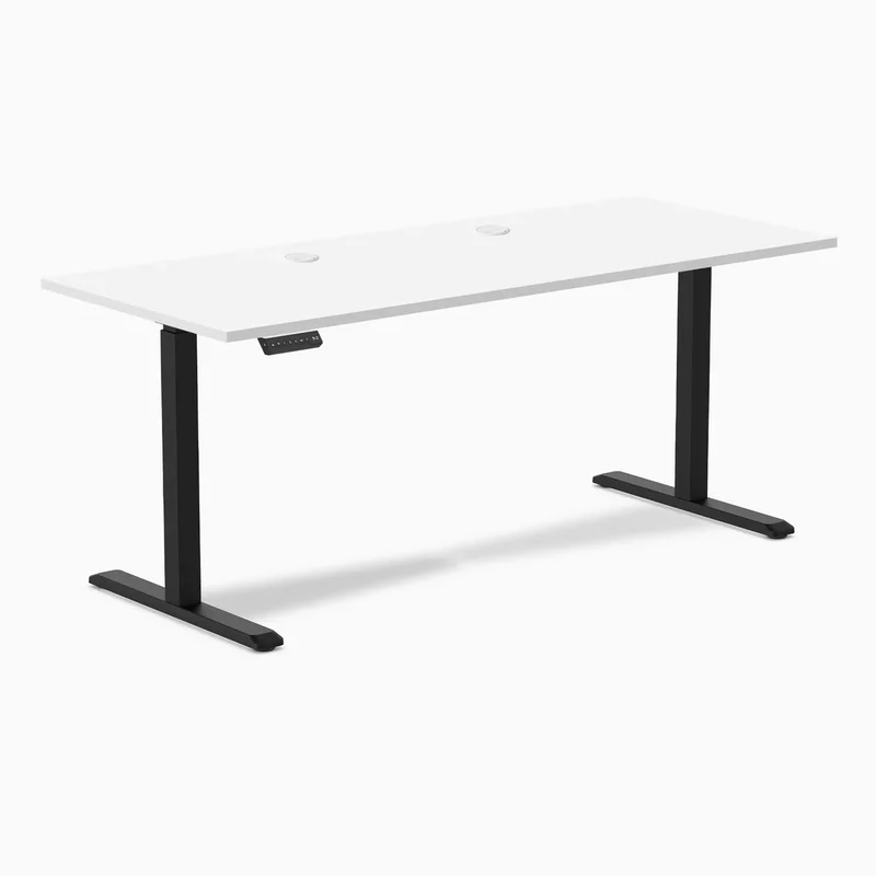 Desky Single Sit Stand Gaming Desk
