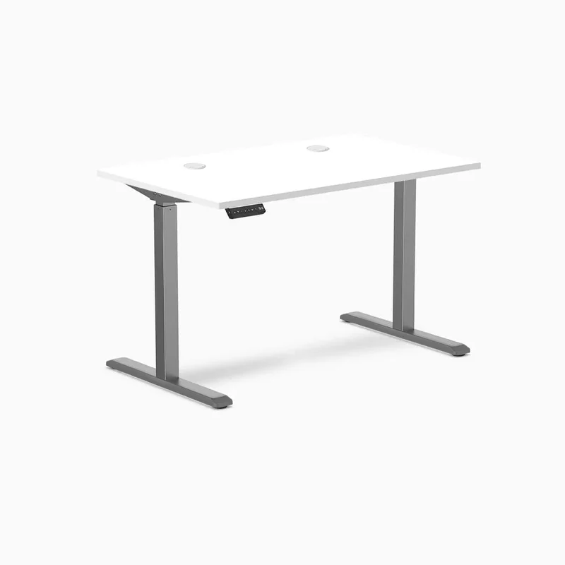 Desky Single Sit Stand Gaming Desk