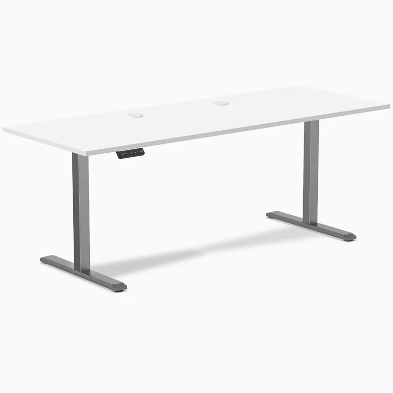Desky Single Sit Stand Gaming Desk