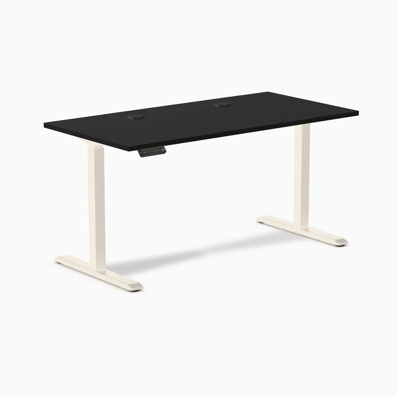Desky Single Sit Stand Gaming Desk