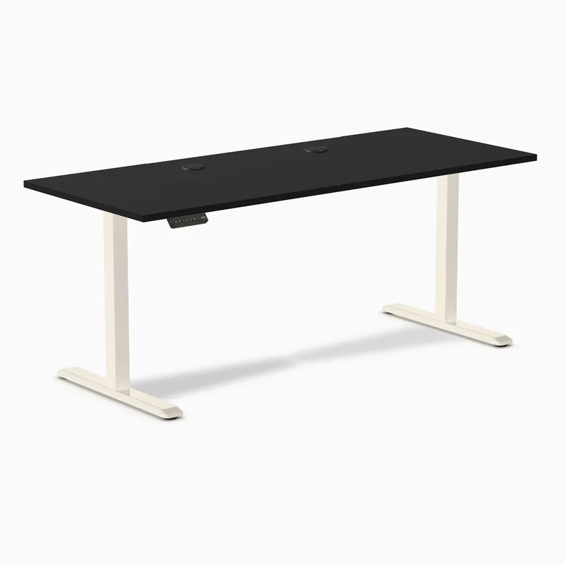 Desky Single Sit Stand Gaming Desk