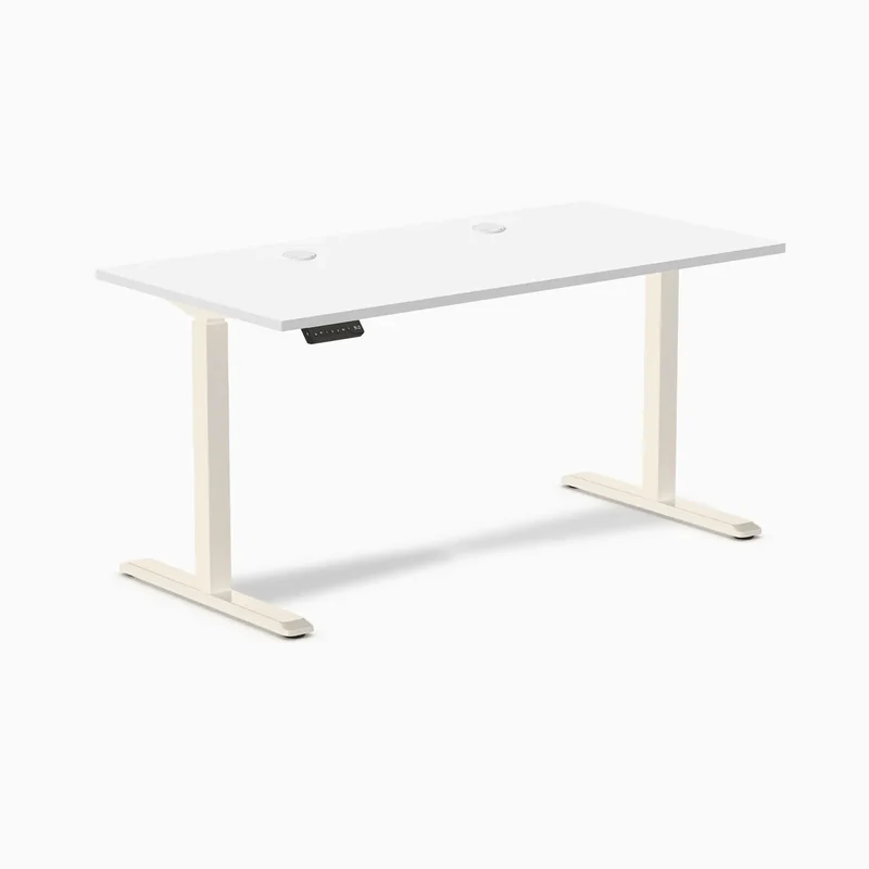 Desky Single Sit Stand Gaming Desk