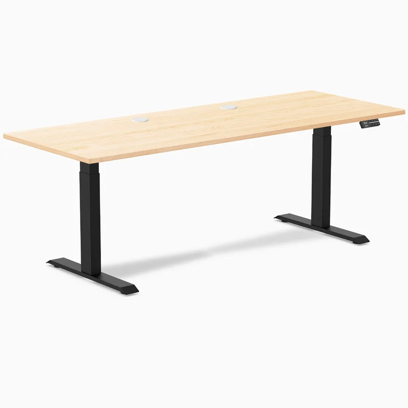 Desky Dual Hardwood Sit Stand Desk