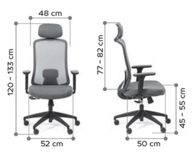Fauteuil ergonomique Lando