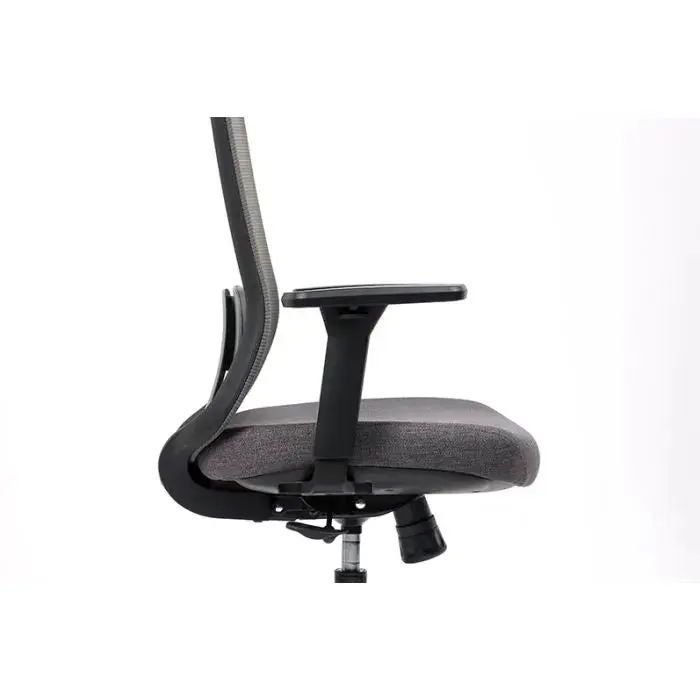 Fauteuil ergonomique Lando