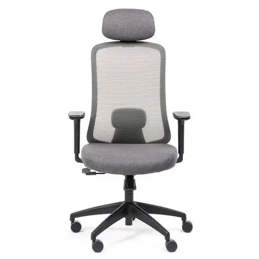 Fauteuil ergonomique Lando