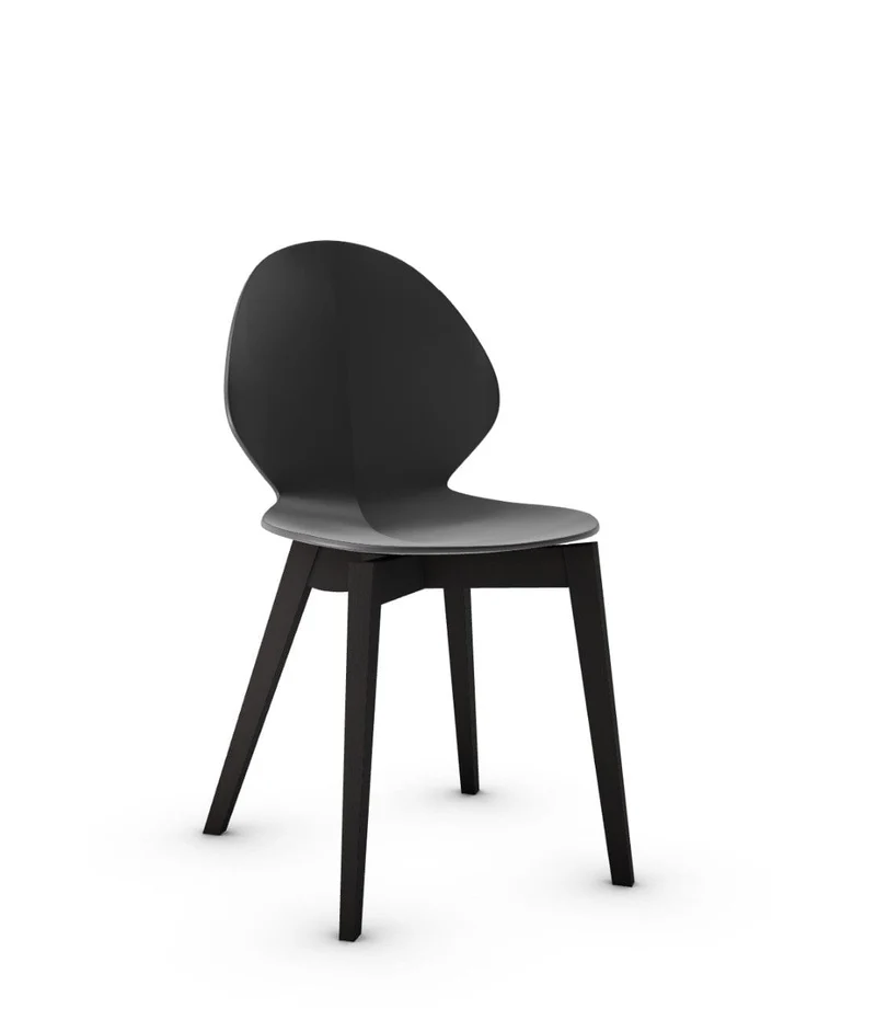 Chaise Calligaris - Basil Wood (CS1348)