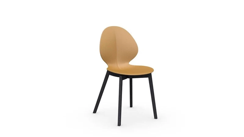Chaise Calligaris - Basil Wood (CS1348)