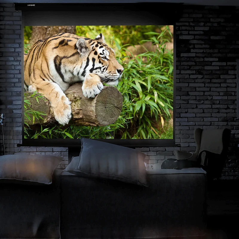 Duronic MPS70 4/3 Ecran de Projection à déroulement Manuel 70 Pouces 4:3/142 x 107 cm - Fixation Mur ou Plafond - 4K Full HD 3D